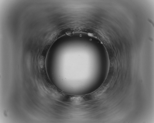 X0000091540133200708171253