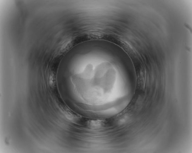 X0000091540134200708171253