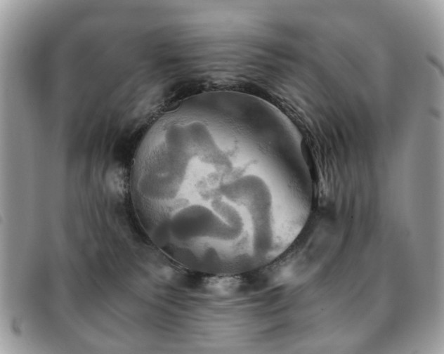 X0000091540135200708171253