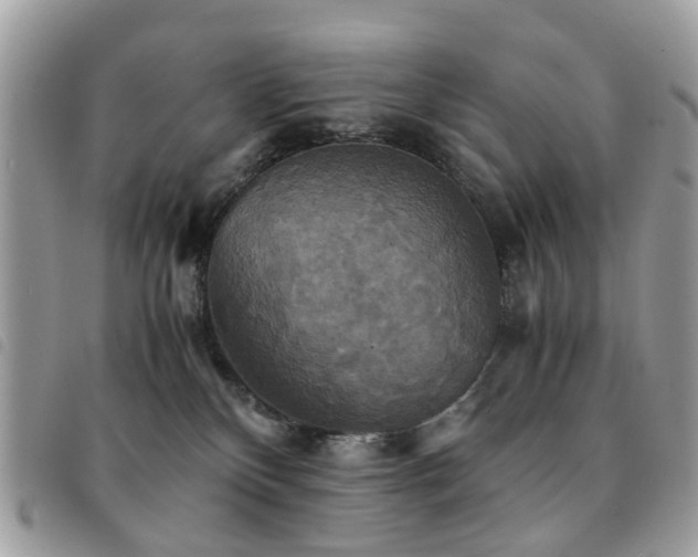 X0000091540136200708171253