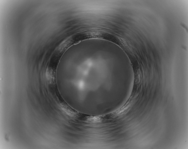 X0000091540140200708171253