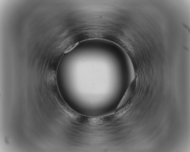 X0000091540141200708171253