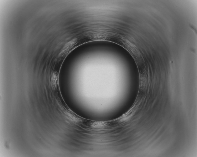 X0000091540142200708171253