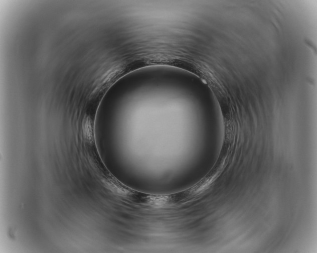 X0000091540143200708171253