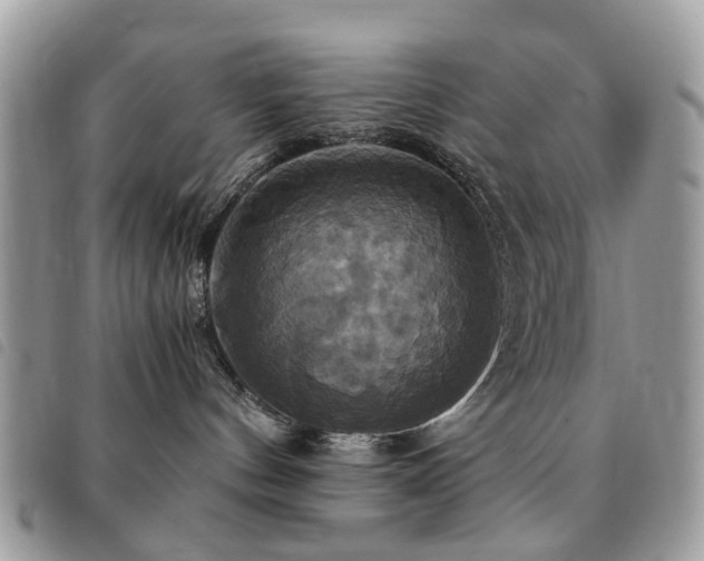 X0000091540144200708171252