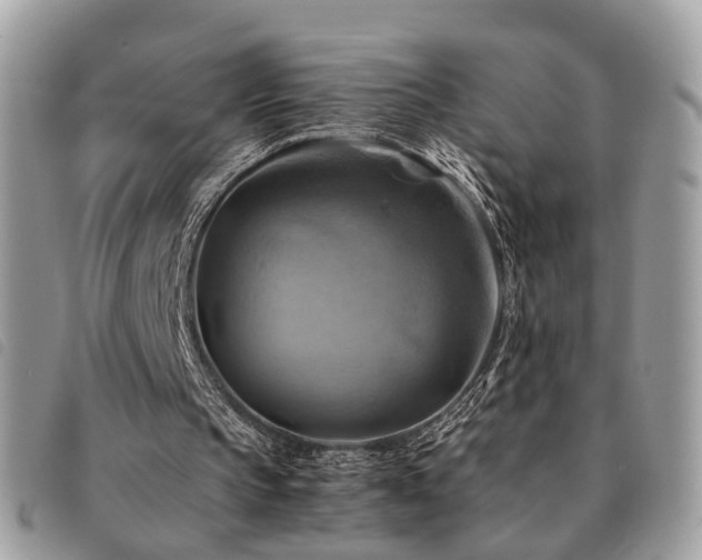 X0000091540145200708171252
