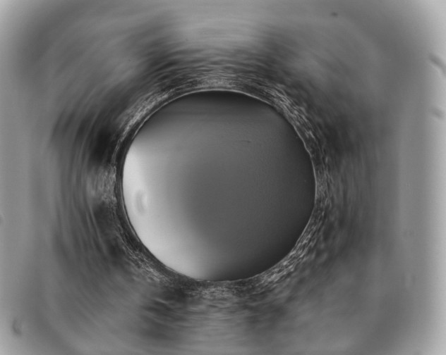 X0000091540146200708171252
