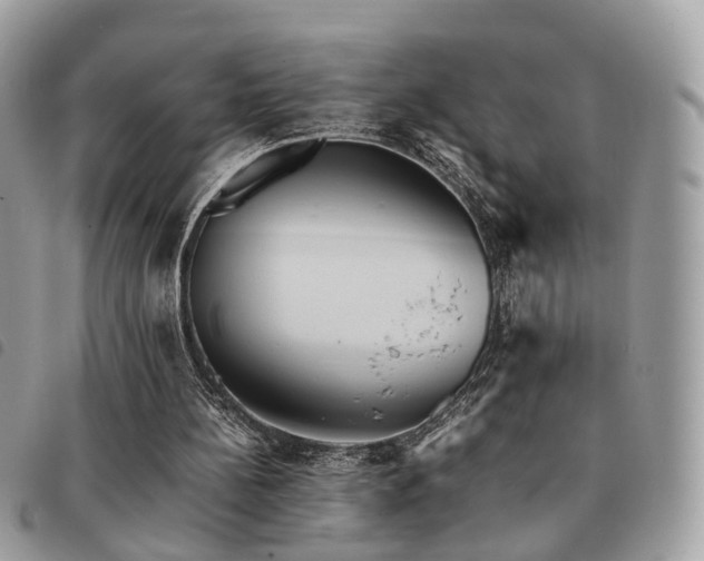X0000091540148200708171252