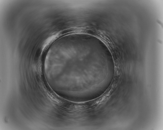 X0000091540149200708171252