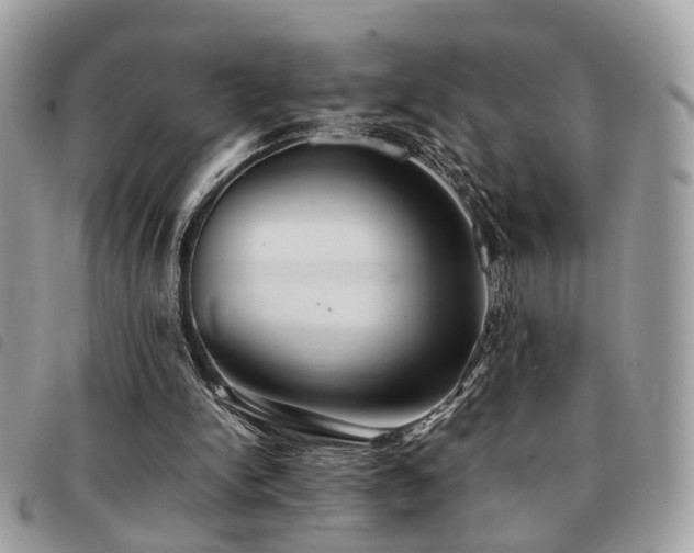 X0000091540150200708171252