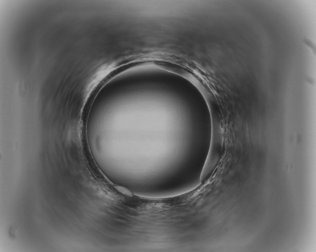 X0000091540152200708171252