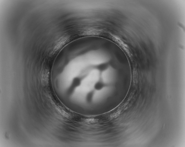X0000091540153200708171252