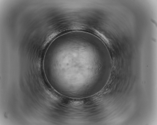 X0000091540155200708171252