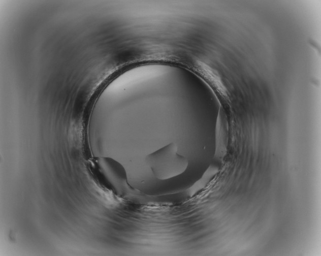 X0000091540156200708171252