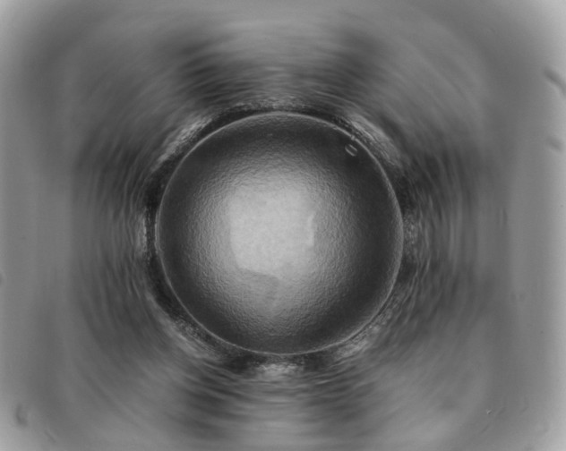 X0000091540158200708171252