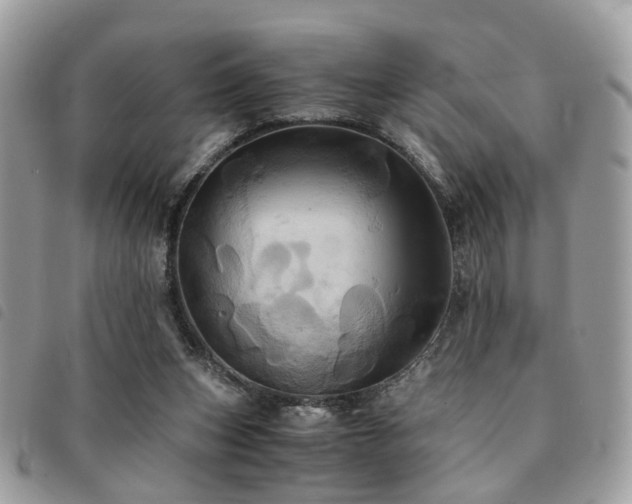 X0000091540159200708171252