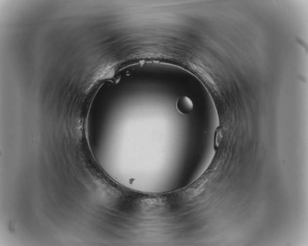 X0000091540160200708171252