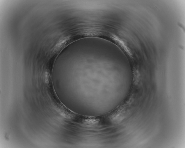 X0000091540161200708171252