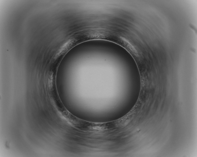 X0000091540163200708171252