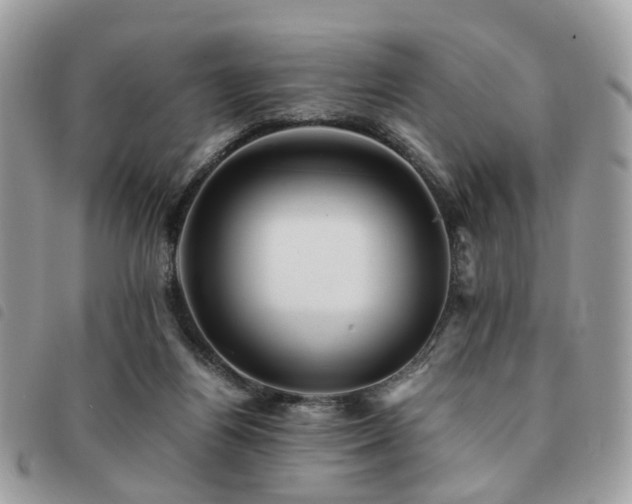 X0000091540164200708171252