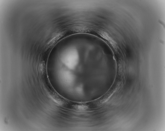 X0000091540165200708171252