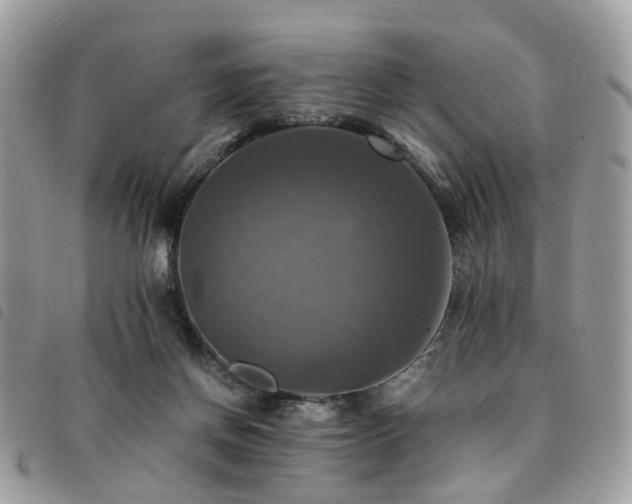 X0000091540166200708171252