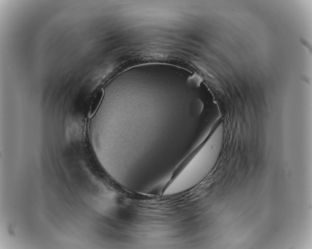X0000091540168200708171252