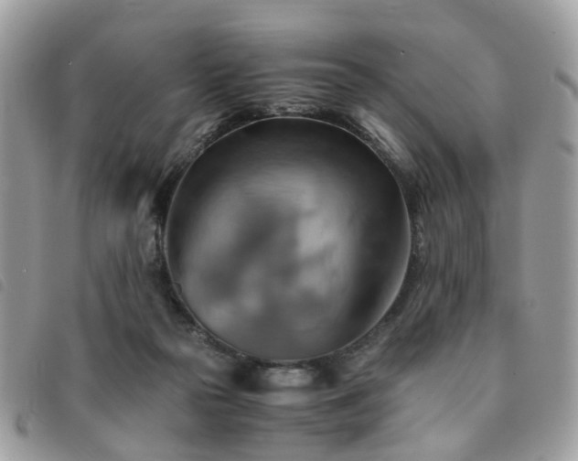 X0000091540169200708171252