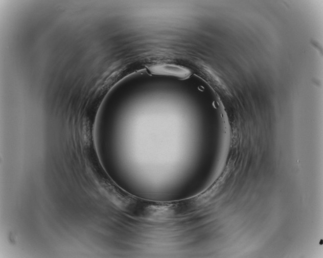 X0000091540170200708171252