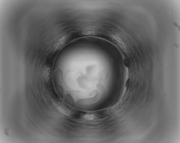 X0000091540171200708171252