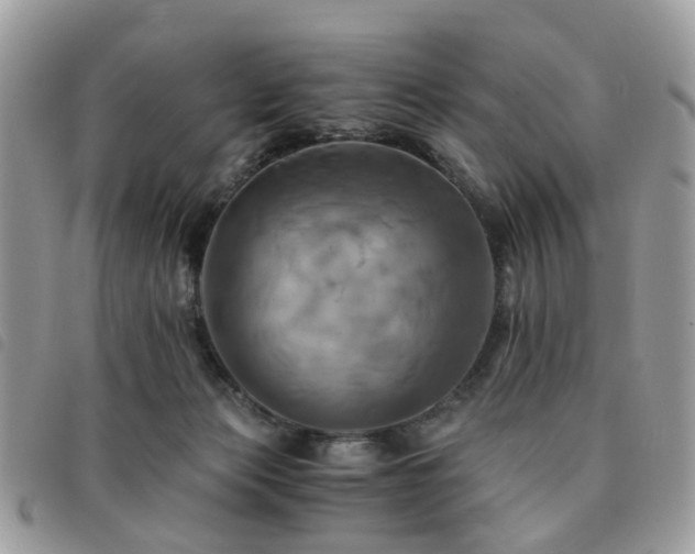 X0000091540173200708171252