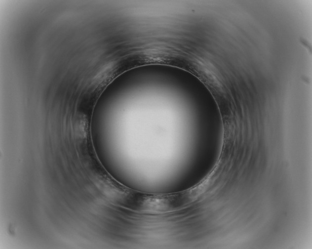 X0000091540174200708171252