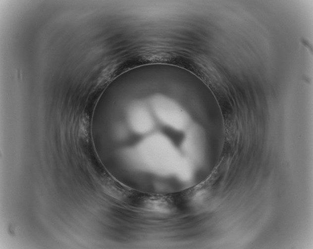 X0000091540175200708171252
