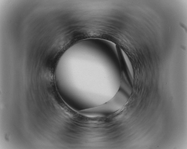 X0000091540176200708171252