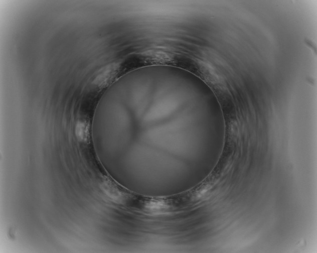 X0000091540177200708171252