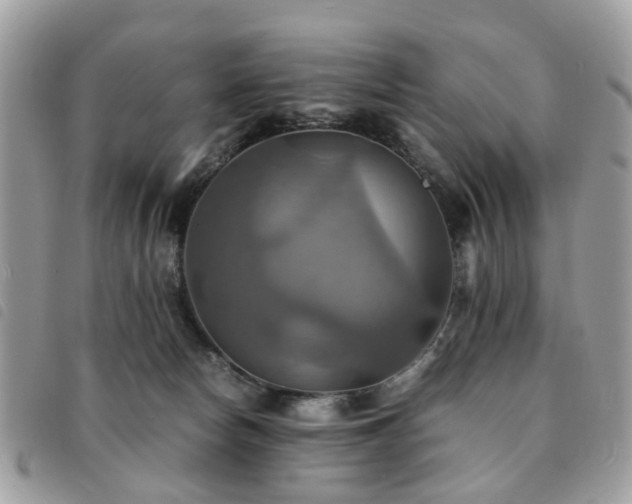 X0000091540178200708171252