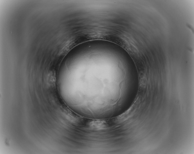 X0000091540179200708171252