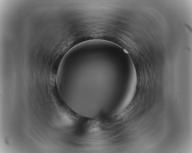 X0000091540180200708171252