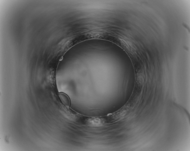 X0000091540181200708171252