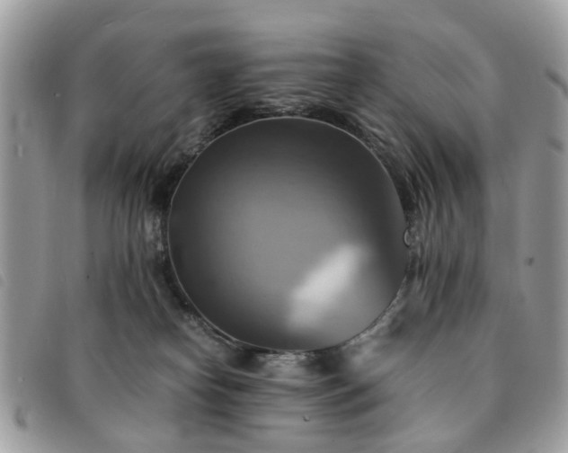 X0000091540182200708171252