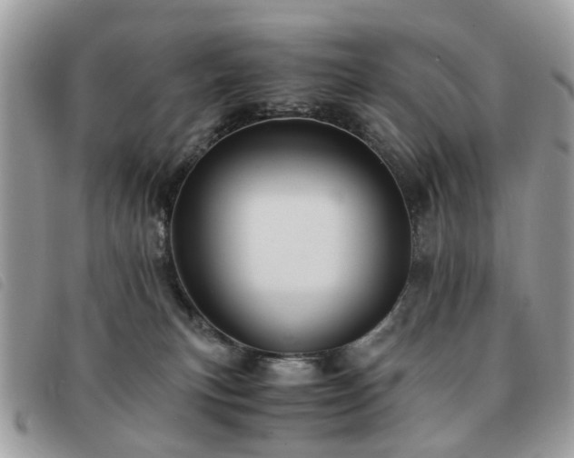 X0000091540183200708171252