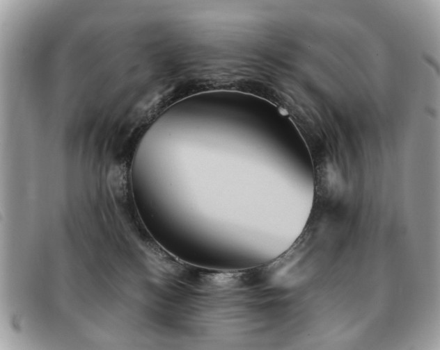 X0000091540184200708171252