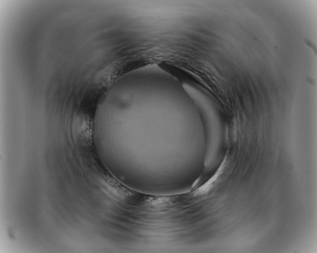 X0000091540186200708171252