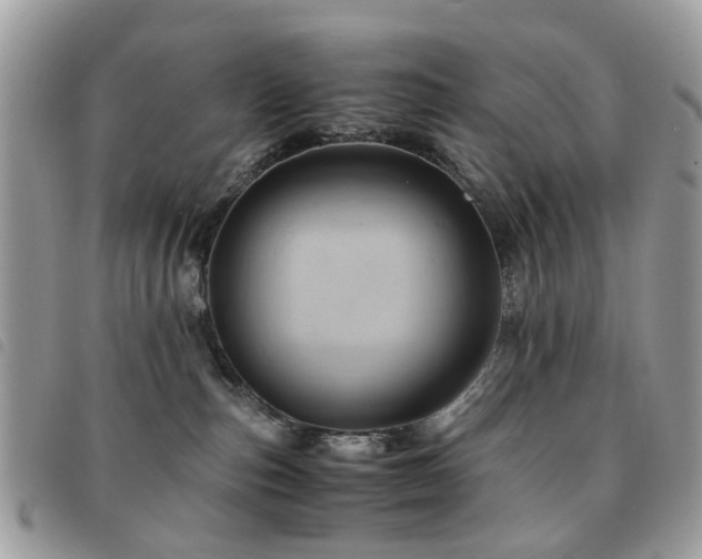 X0000091540187200708171252