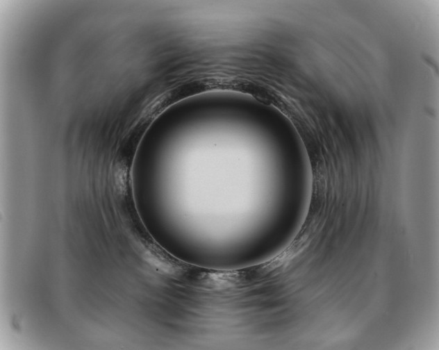 X0000091540188200708171252