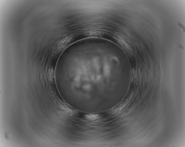 X0000091540189200708171252