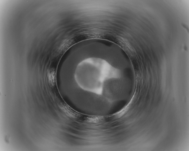 X0000091540190200708171252