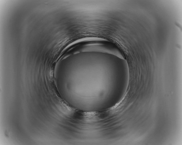 X0000091540192200708171252
