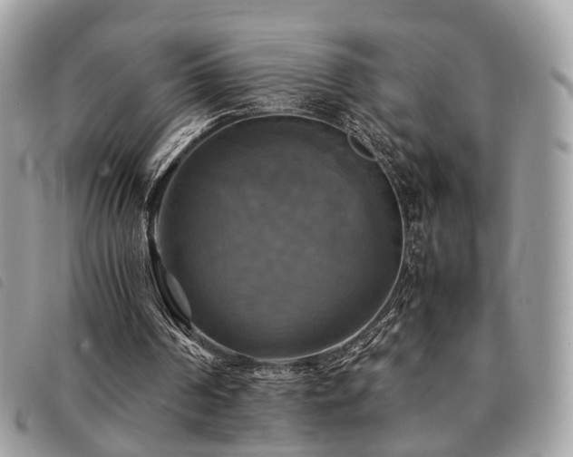 X0000091540194200708171252