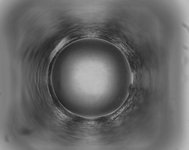 X0000091540195200708171252